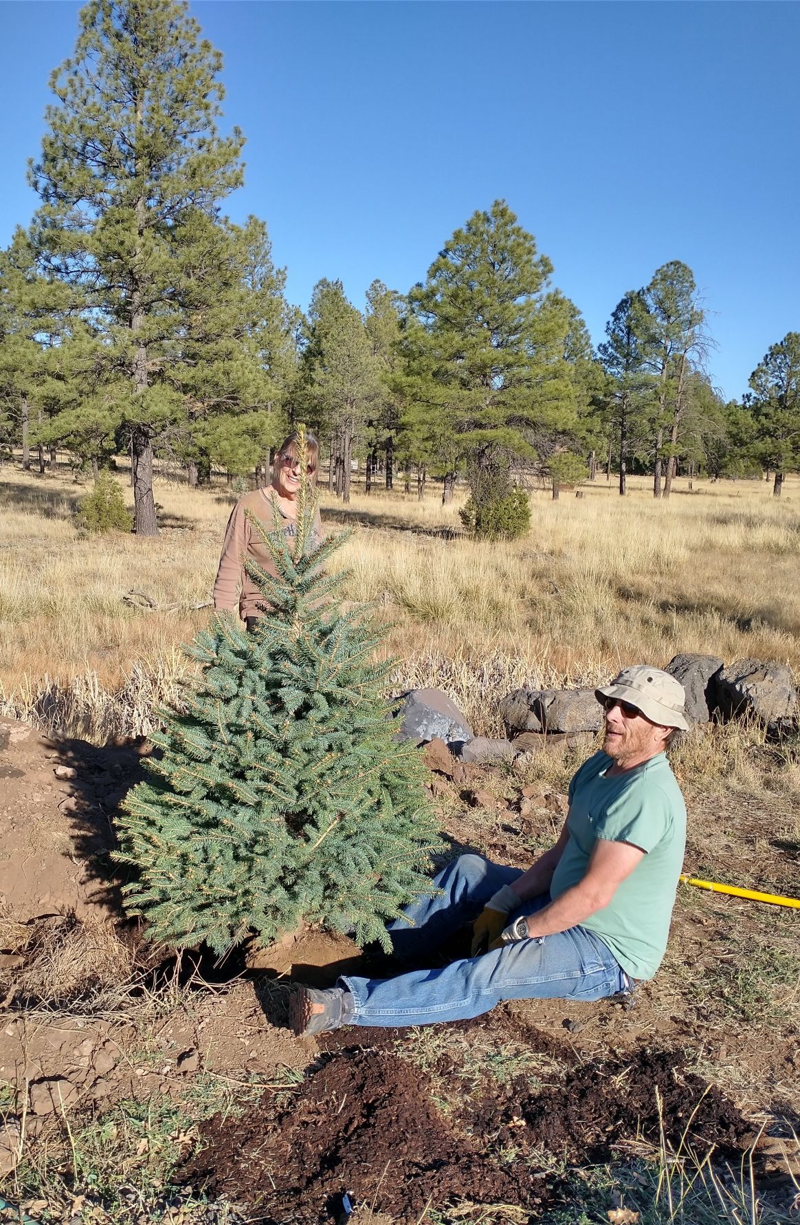 WMNC and TRACKS begin a native tree memorial